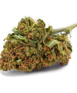 Wholesale – Strawberry Kush CBD Fleurs